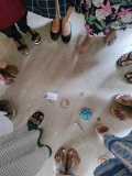 IMG-20250528-WA0012